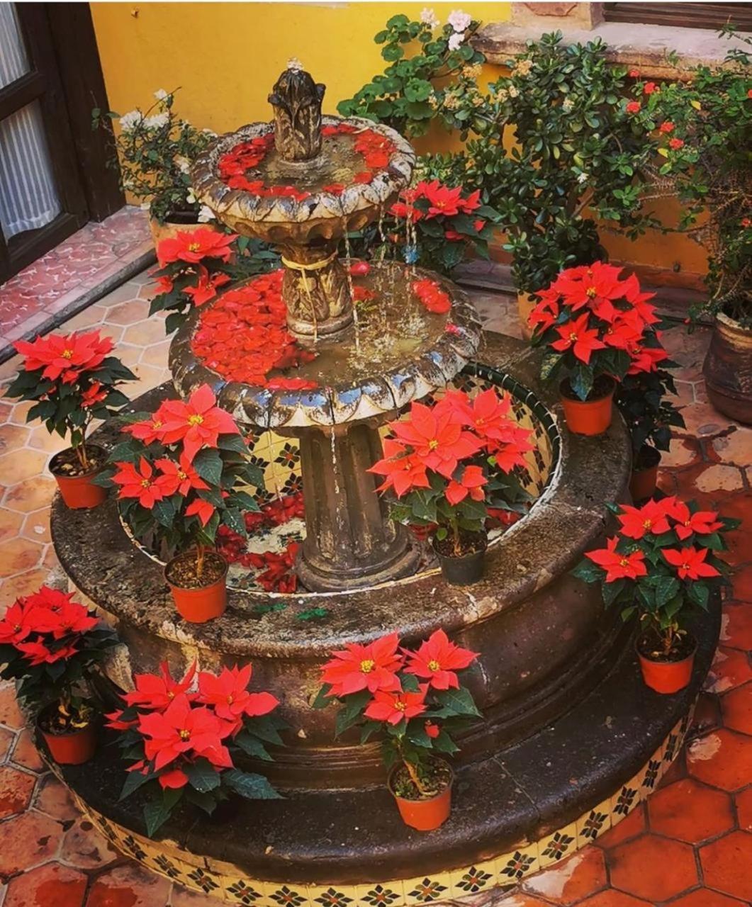 Casa Rosario Centro Otel San Miguel de Allende Dış mekan fotoğraf